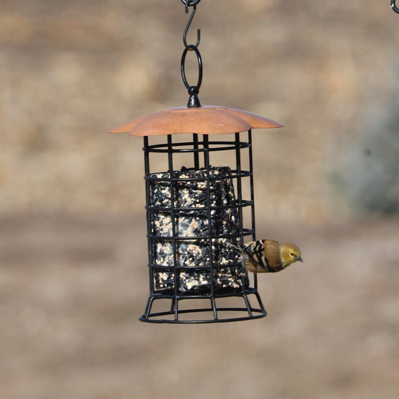 Songbird Essentials Copper Roof Suet Log Feeder - Image 4